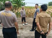 AKBP Condro Sasongko Tinjau Lokasi Panen Raya Jagung di Kampung Ciruas Cilik