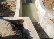 Di duga Pembangunan Irigasi Proyek Siluman Di Nagori Mekar Bahalat Huta II Korem Dalam