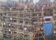 Viral Video ‘Santri Lirboyo Ngecor’, Ini Respons Pengurusnya